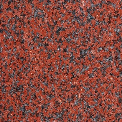 African Red One