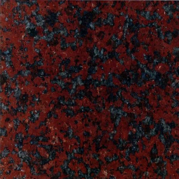 African Red Two