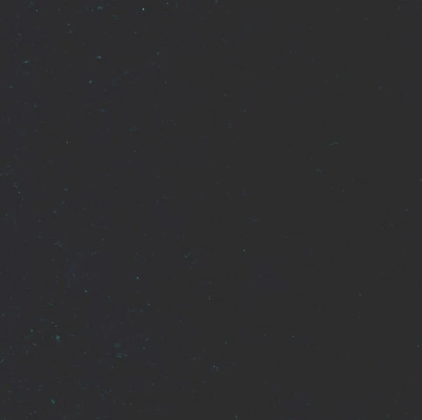 Belfast Black