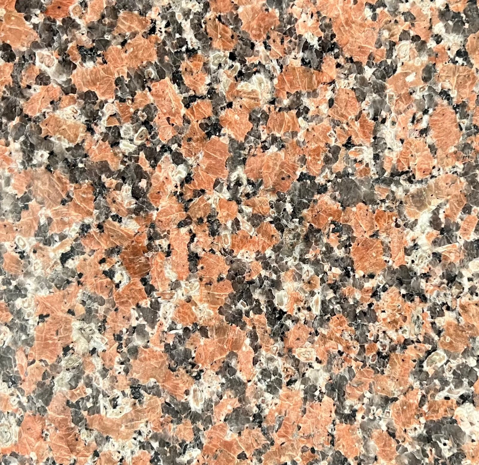 Maple Red