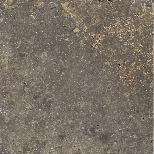 Muschelkalk Kirchheimer