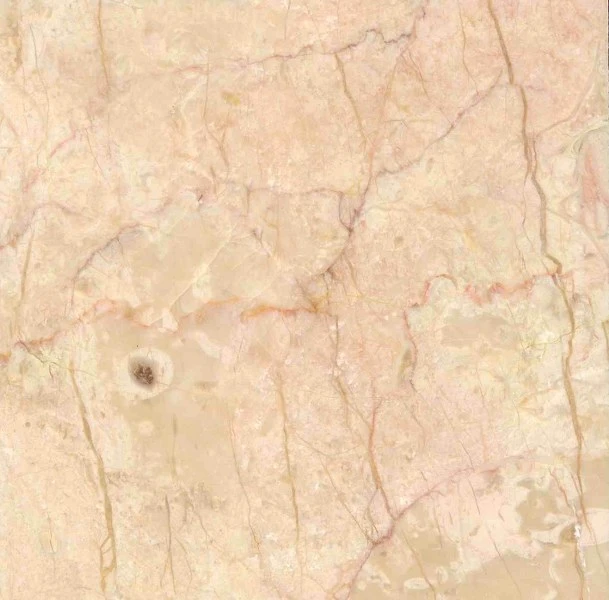 Rosalia