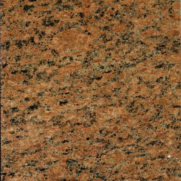 Vanga Red